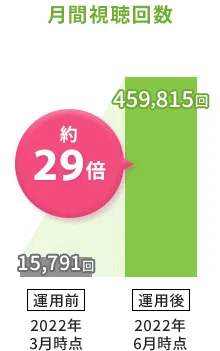 月間視聴回数約29倍